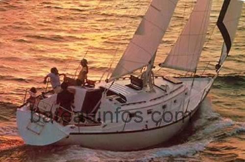 Hunter 37 Cherubini avis et fiche technique